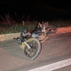 Motociclista morre em colisão com animal na MT-242, em Sorriso