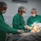 Hospitais Regionais realizaram mais de 373 mil procedimentos eletivos para acelerar atendimento  populao