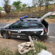 Polcia Civil prende idoso por maus-tratos a animais com resultado morte