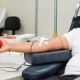 MT Hemocentro realizar� coleta de sangue neste s�bado (14)