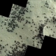 Imagens da sonda revelam formaes peculiares em Marte, semelhantes a aranhas