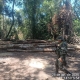 Batalh�o Ambiental det�m dupla e apreende m�quina e toras de madeiras extra�das ilegalmente