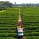 Governo de MT tem linha de crdito para financiar equipamentos, mquinas e implementos agrcolas