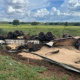Motorista morre em grave acidente com carreta na BR-163 em Rondonpolis
