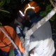 Aeronave cai em mata fechada de Rondonpolis e buscas so feitas para encontrar piloto