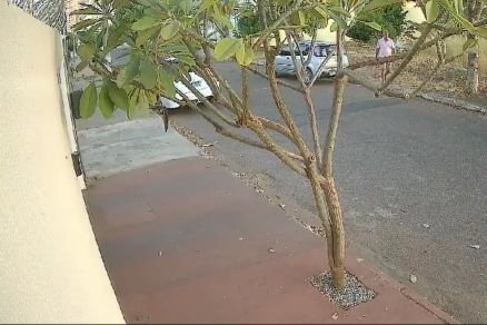 C�mera flagra homem matando gato com golpe de machado