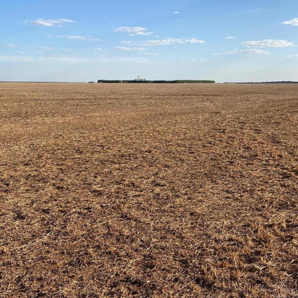 Indea realiza mais duas mil fiscaliza��es e aplica 12 multas no primeiro m�s do vazio sanit�rio da soja