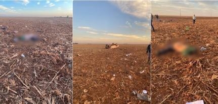 Homem morre aps perder controle de Hilux e capotar em lavoura