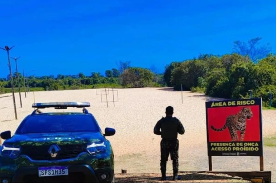 Pol�cia Ambiental interdita praia de C�ceres ap�s registro de on�a na regi�o