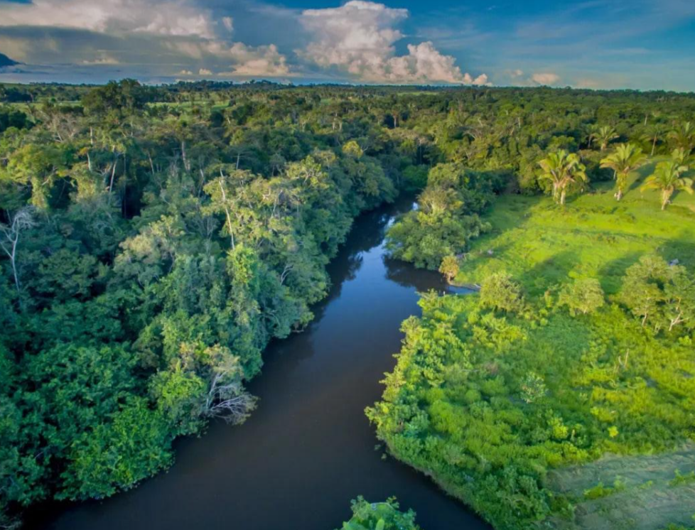 AMAZONAS DEVE ENFRENTAR SECA MAIS SEVERA EM 2024