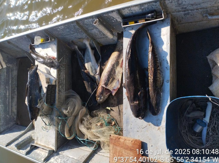 Batalh�o Ambiental da PM prende homem por pesca irregular, apreende 25 quilos de peixes e aplica mais de R$ 28 mil em multa