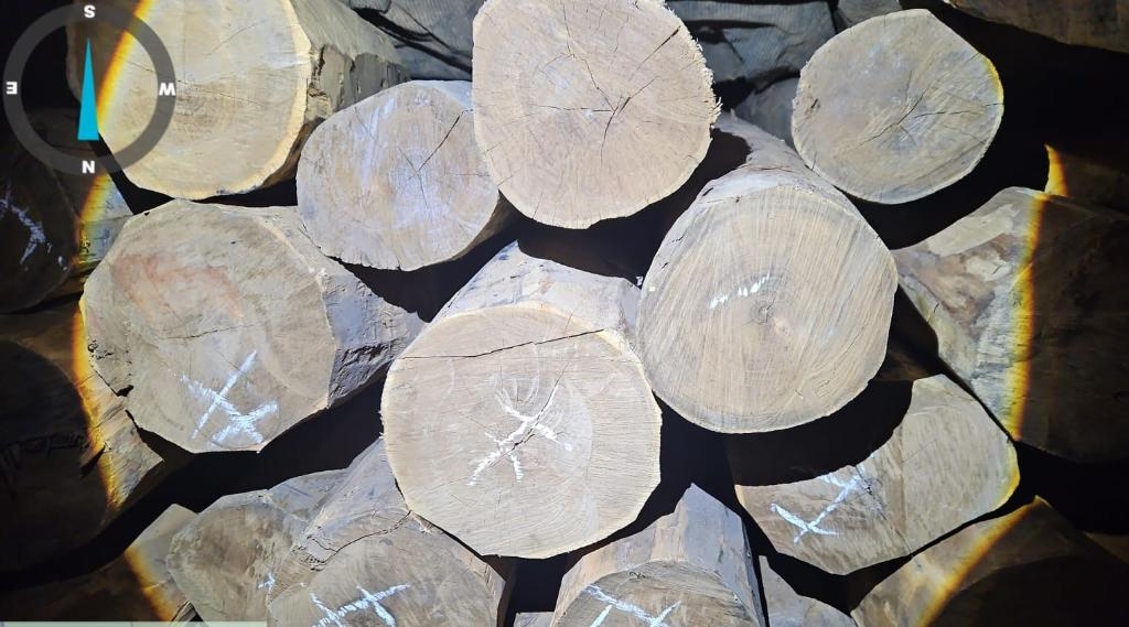 Pol�cia Civil intensifica trabalho de enfrentamento ao crime ambiental em Comodoro