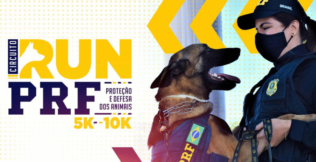 BR-364 ter� opera��o especial de tr�fego neste domingo (27.07) em Cuiab�