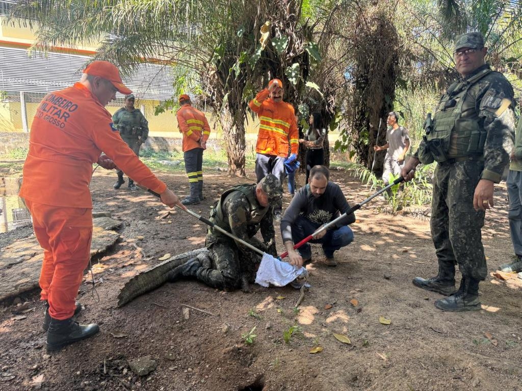 Sema conclui curso com aula pr�tica de resgate e manejo de animais no Cempas da UFMT