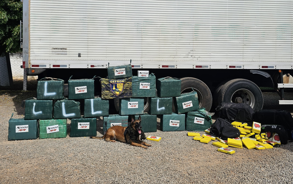 Gefron aumenta em 21% o preju�zo causado �s fac��es criminosas em Mato Grosso