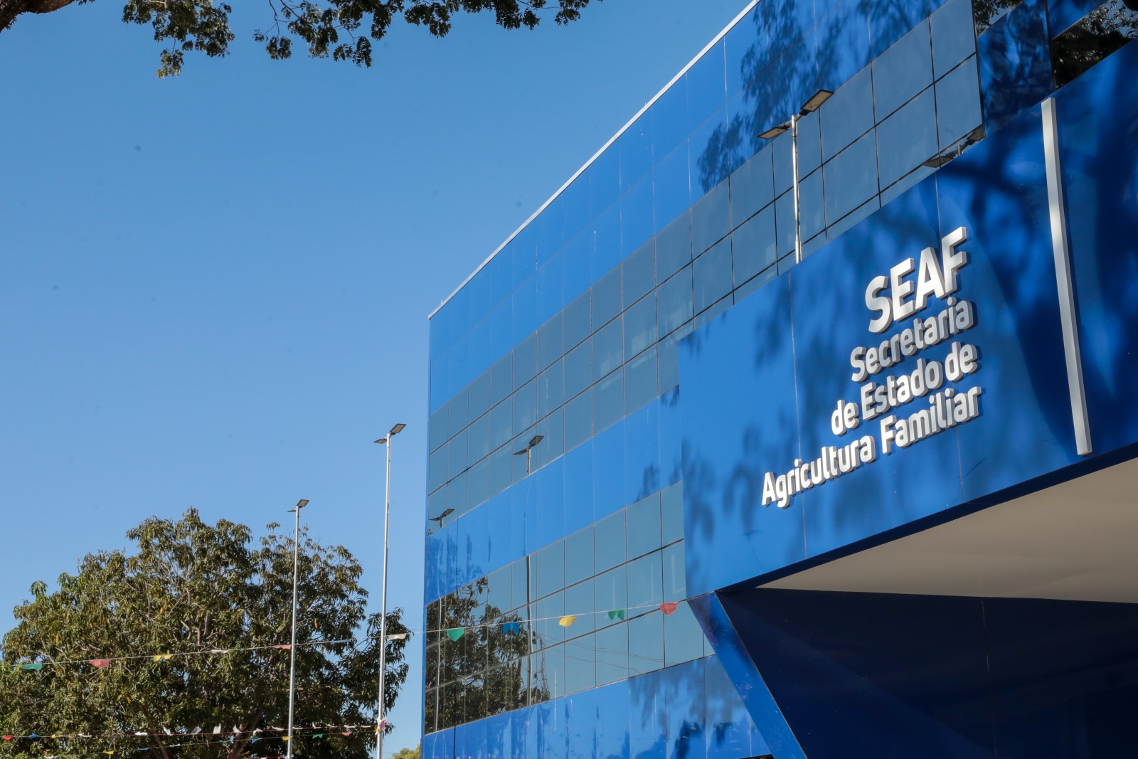 Governo de MT abre licita��o para aquisi��o de equipamentos voltados � cadeia produtiva do leite