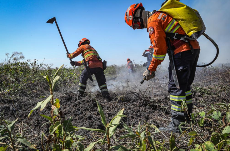 Bombeiros extinguem 4 inc�ndios florestais e combatem outros 5 neste s�bado (2)
