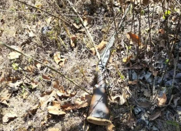 Mulher morre e neto � ferido ap�s tiro acidental em ca�ada no interior de Poxor�u