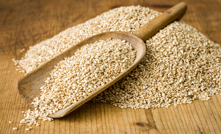 Empresas de MT respondem por mais de 1/3 da demanda nacional de gergelim para a China