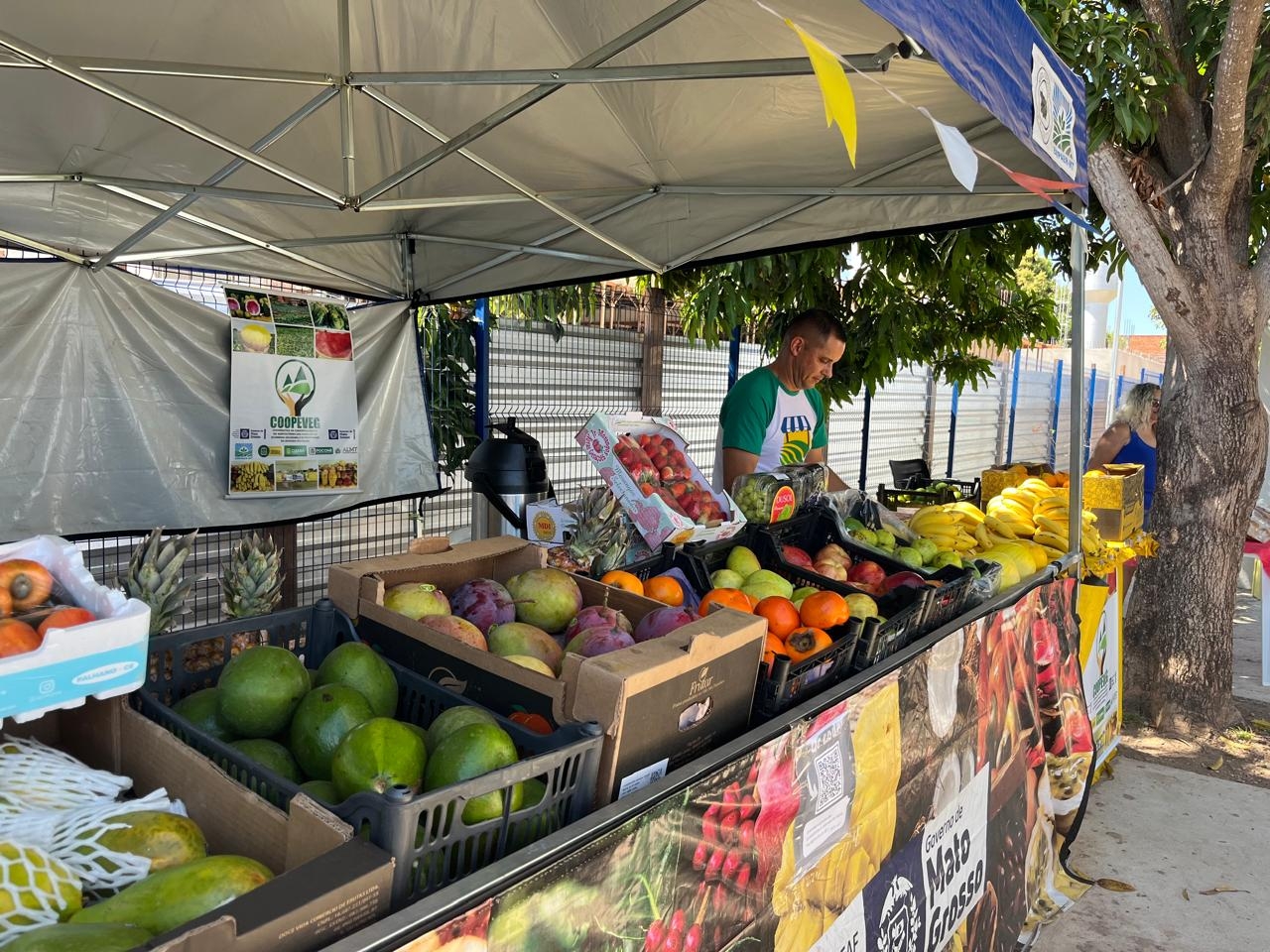 Feiras impulsionam renda e fortalecem agricultura familiar em MT