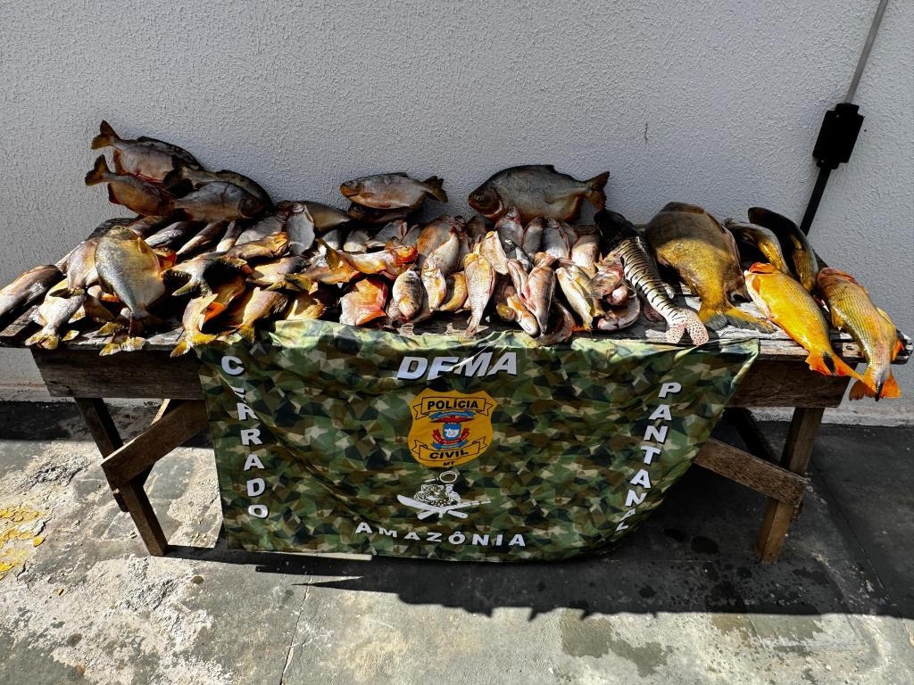 Apreens�o de pescado pela Dema cresce 570% nos primeiros 6 meses de 2025