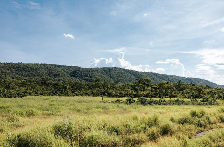 Sema firma mais de 500 acordos para recupera��o de �reas degradadas no primeiro semestre