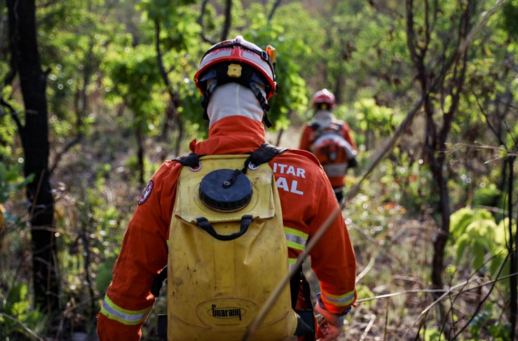 Corpo de Bombeiros extingue 2 inc�ndios florestais e combate 3 neste domingo (10)