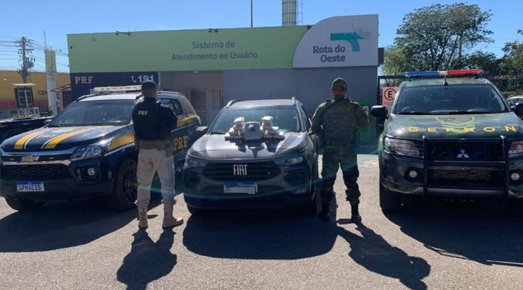 Gefron apreende drogas e ve�culo avaliados em R$ 135 mil em V�rzea Grande