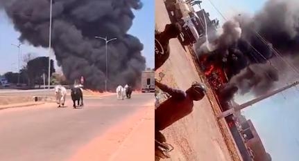 Carreta pega fogo e animais se espalham pela pista