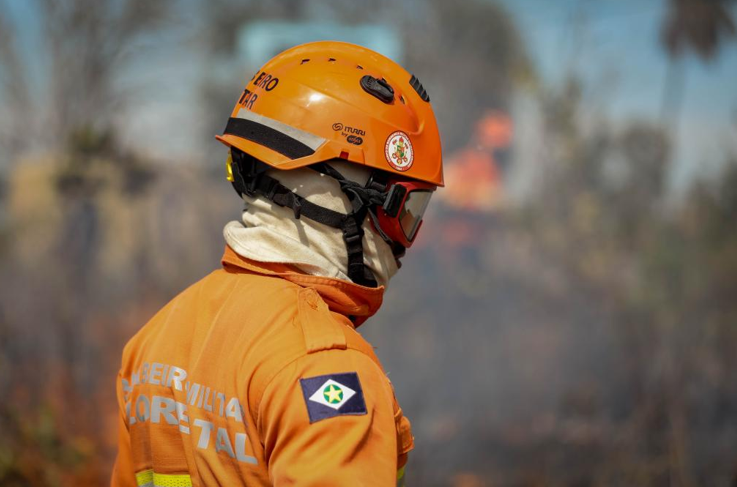Corpo de Bombeiros extingue 4 inc�ndios florestais e combate 12 neste s�bado (16)