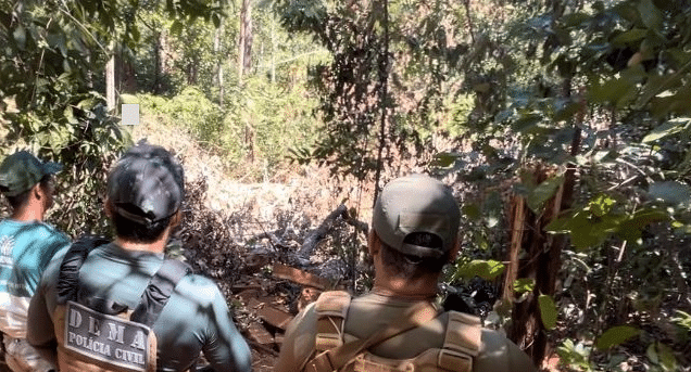 Pol�cia flagra desmatamento em �rea de preserva��o permanente em Mato Grosso