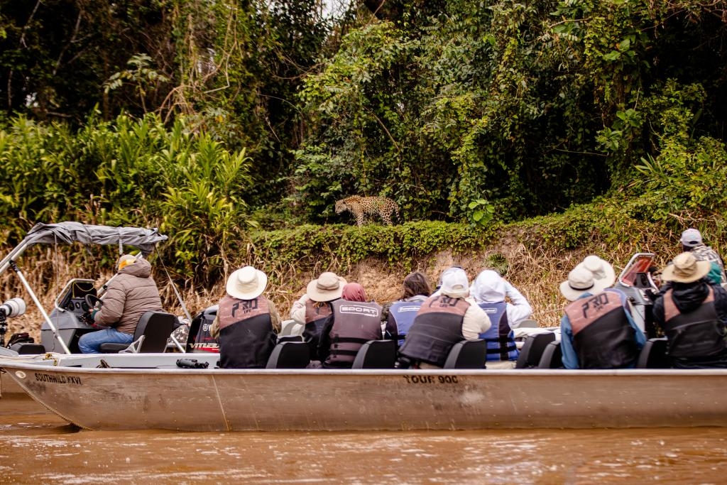 Na frica do Sul, Mato Grosso busca modelo de gesto para fortalecer turismo de safri no Pantanal