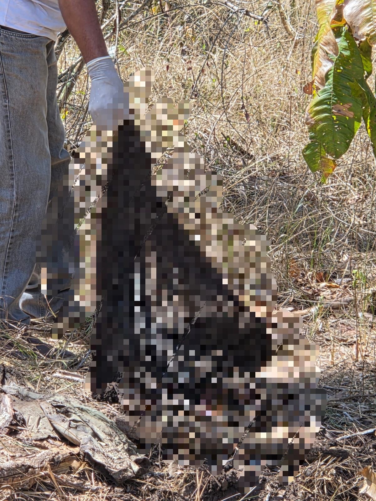 Pol�cia encontra ossada com sinais de execu��o em �rea rural de Jaciara