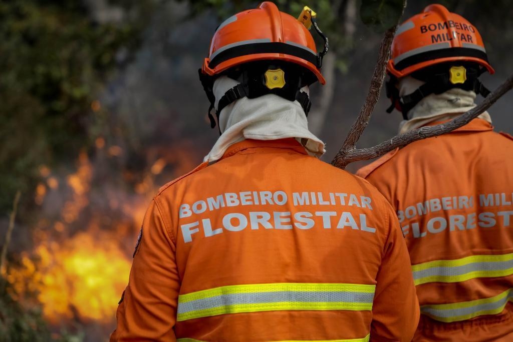 Corpo de Bombeiros extingue nove inc�ndios florestais e combate 13 nesta segunda-feira (18)