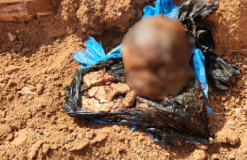 Pol�cia apura caso de cabe�a humana abandonada em cemit�rio de Alta Floresta