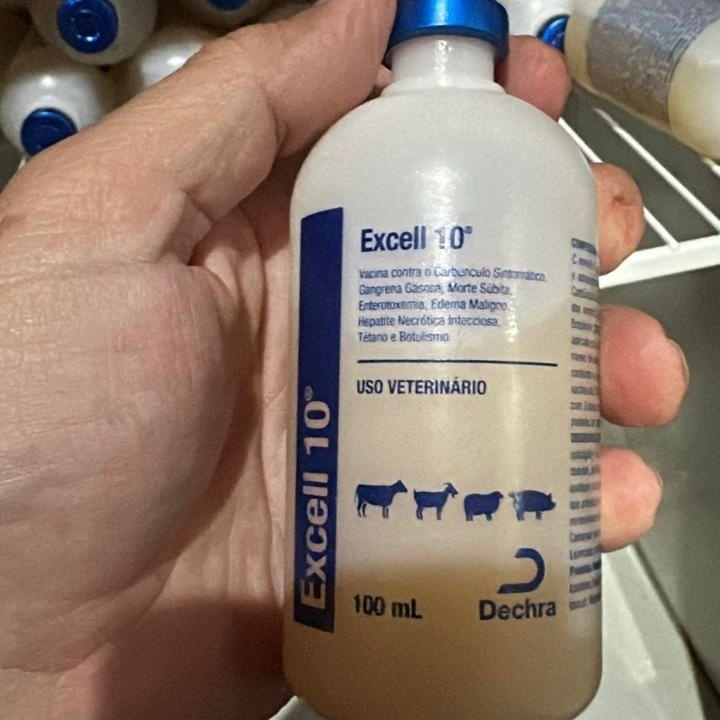 Indea informa suspens�o do com�rcio da vacina Excell 10 em MT