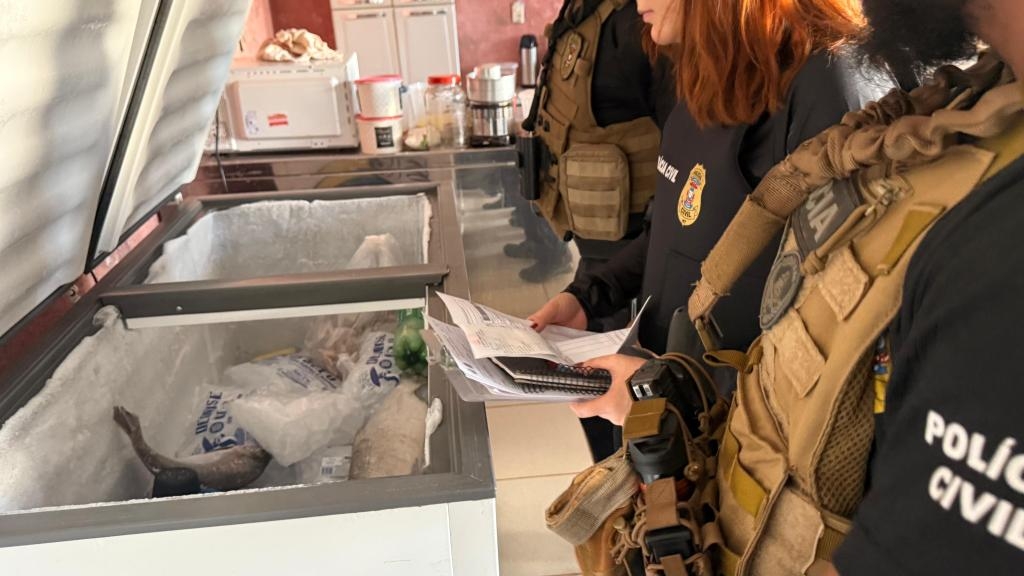 Pol�cia Civil deflagra opera��o para combater com�rcio ilegal na Feira do Porto e apreende tr�s toneladas de pescado