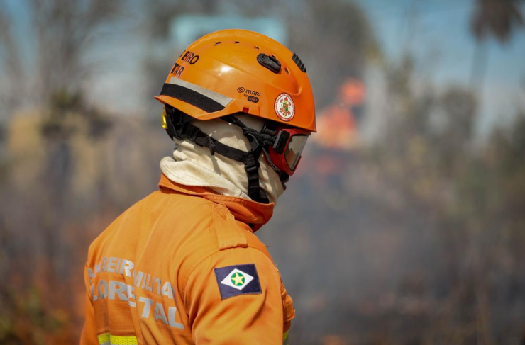 Corpo de Bombeiros extingue seis inc�ndios florestais e combate 22 neste s�bado (23)