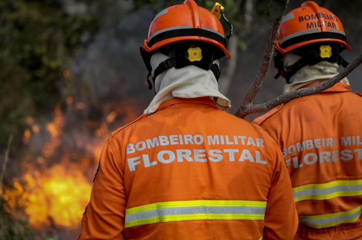 Corpo de Bombeiros extingue dois inc�ndios florestais e combate 24 neste domingo (24)
