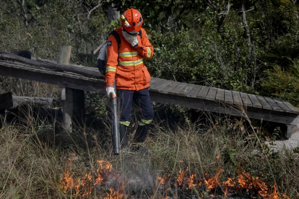Corpo de Bombeiros combate 33 inc�ndios florestais nesta sexta-feira (5) 