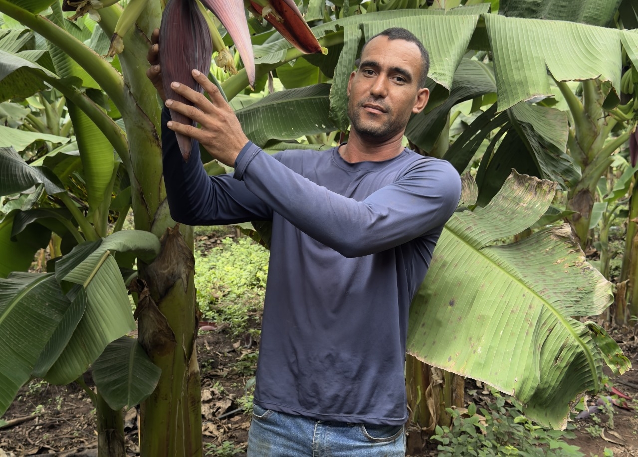  Pequenos agricultores podem receber at R$ 28 mil por aes que preservem floresta amaznica