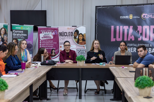 Rede de Enfrentamento  Violncia contra a Mulher define novas aes em Cuiab