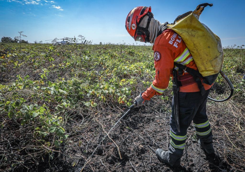 Corpo de Bombeiros combate 34 incndios florestais nesta tera-feira (9) 