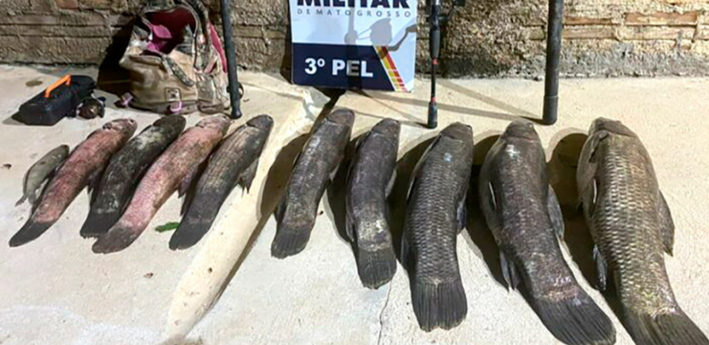 Homem � detido por pesca predat�ria no Nort�o