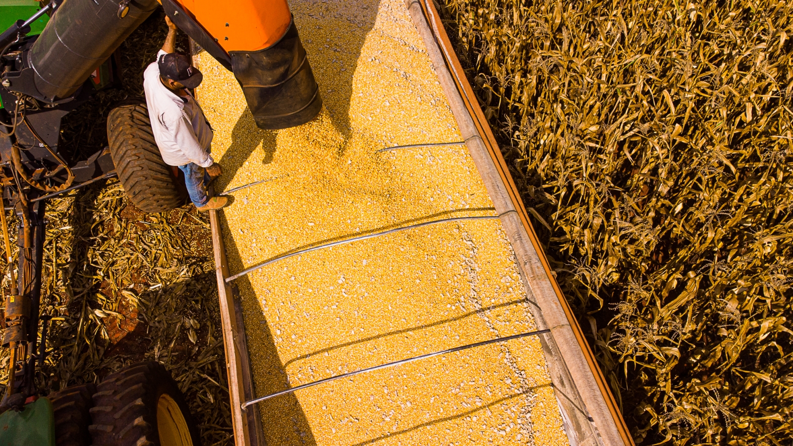 Sorriso  o municpio com maior PIB agrcola do pas, aponta IBGE