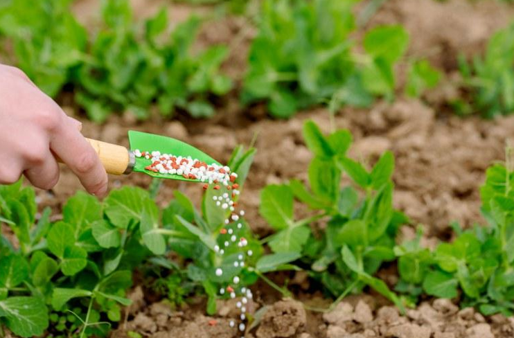 Governo do Estado e UFMT firmam parceria para estudo sobre a cadeia de fertilizantes em MT