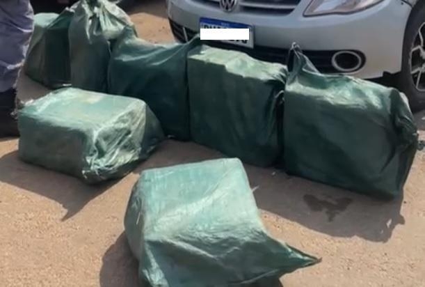 Pol�cia Militar e Gefron apreendem 247 tabletes de coca�na avaliados em mais de R$ 7 milh�es