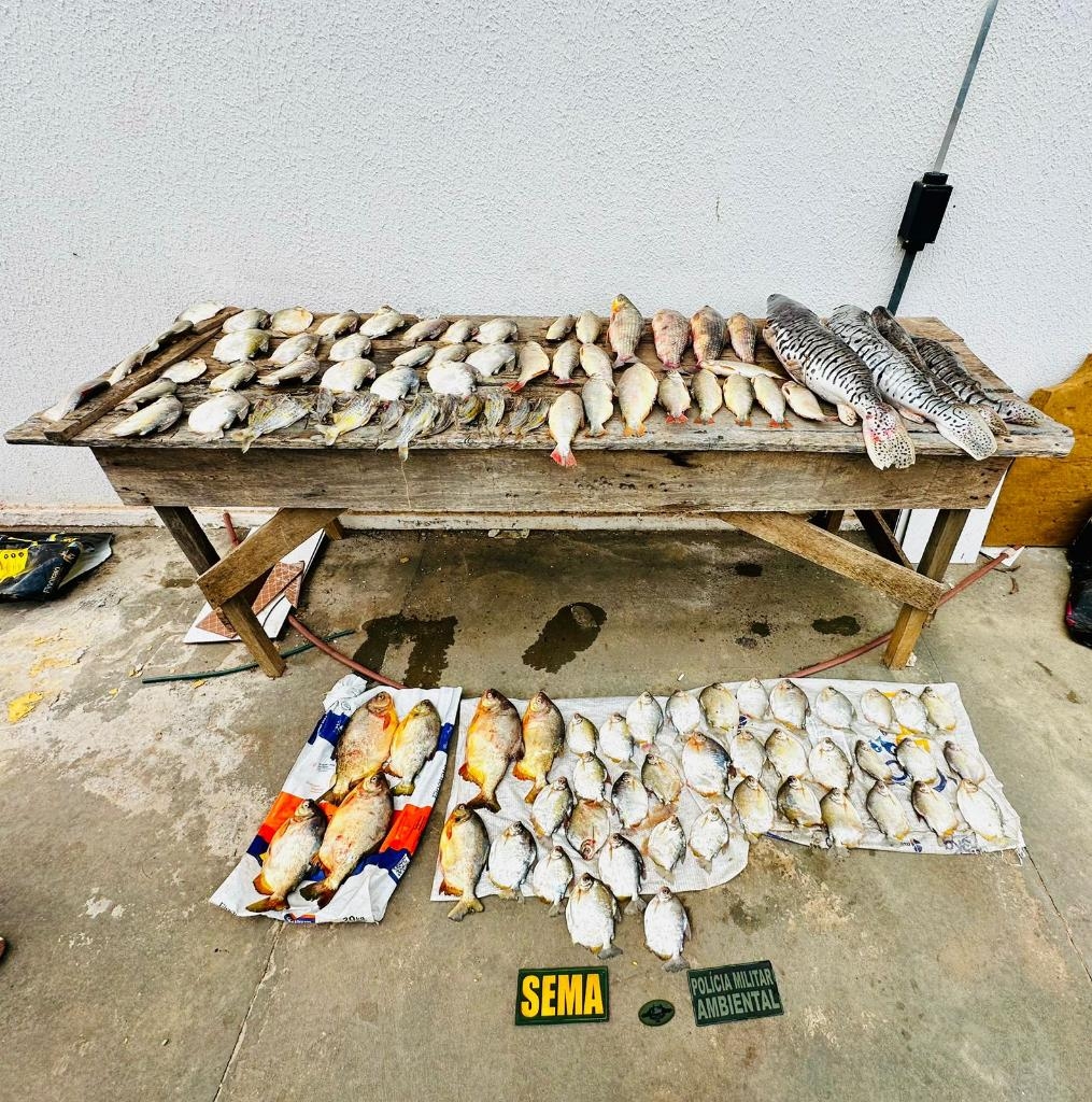 PM e Sema apreendem 47 quilos de pescado irregular em Bar�o de Melga�o