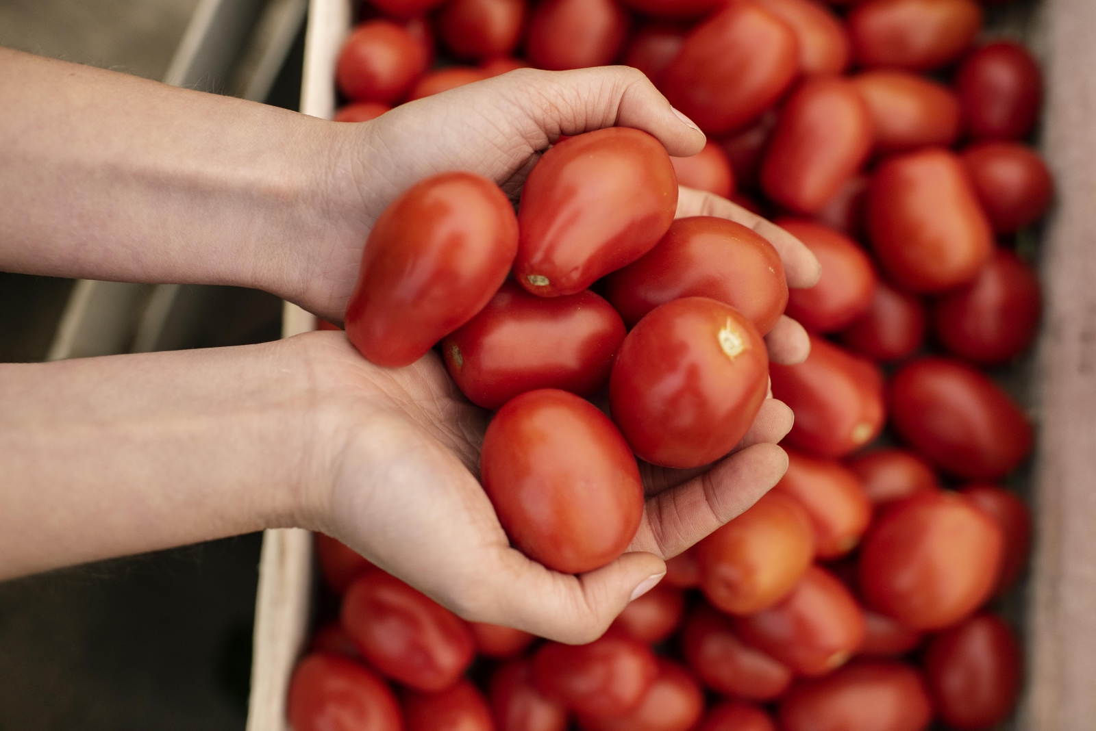 Cesta bsica em Cuiab sobe 1% e chega a R$ 792,65 em setembro