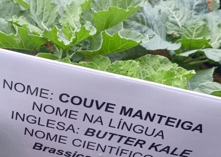 Projeto de escola estadual em C�ceres torna aprendizado em ingl�s mais atrativo e aumenta engajamento dos alunos